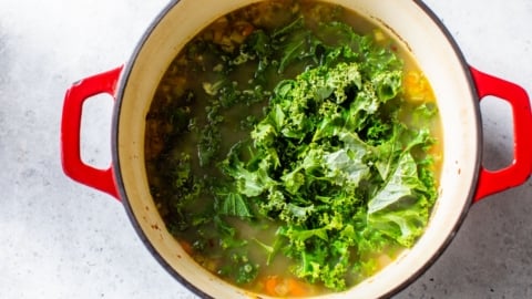 fresh kale soup recipe