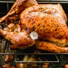 checking a turkey thigh for doneness